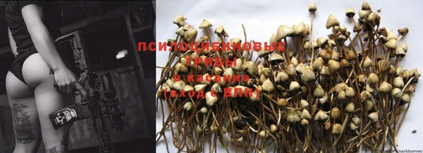 PSILOCYBIN Алексеевка
