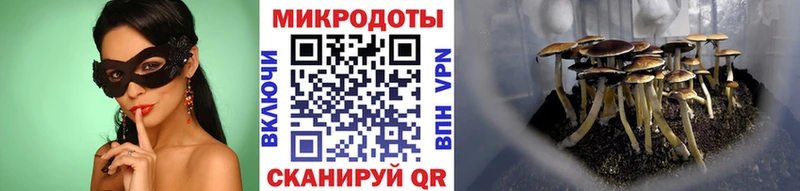 хочу наркоту Октябрьский Галлюциногенные грибы Magic Shrooms
