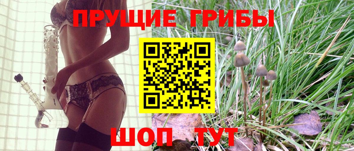 как найти закладки  Вход с VPN  Октябрьский  Псилоцибиновые грибы Psilocybine cubensis  Псилоцибиновые грибы MAGIC MUSHROOMS 