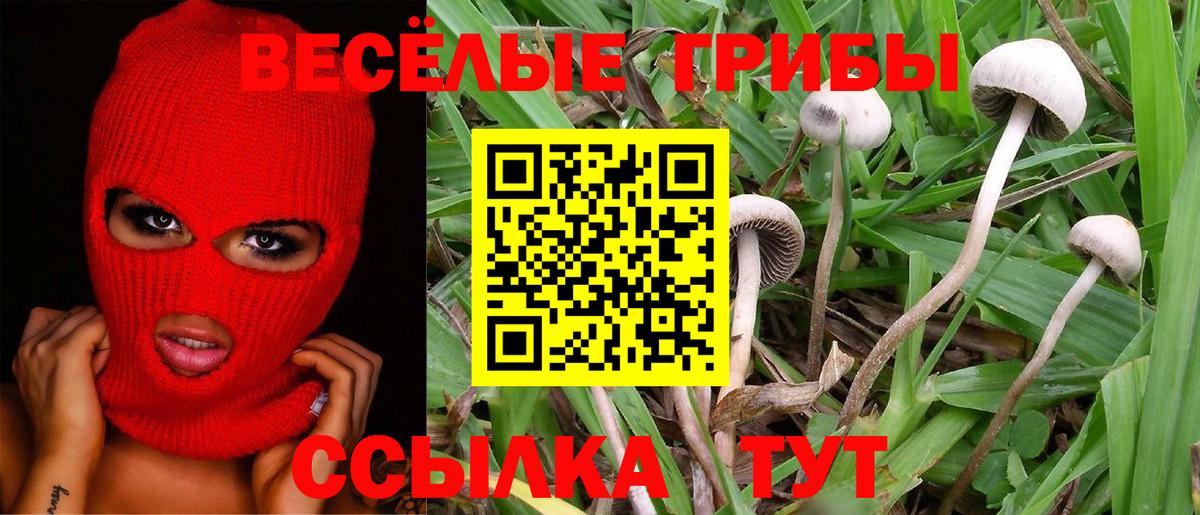 МАРИХУАНА  Гашиш  А ПВП СОЛЬ кристаллы  КОКАИН  Меф МЯУ МЯУ   Октябрьский  Вход с VPN  ГАШ 